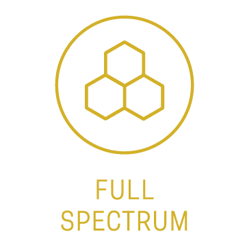 CBD Capsule full spectrum