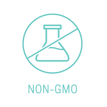 Topical Icon Non-GMO